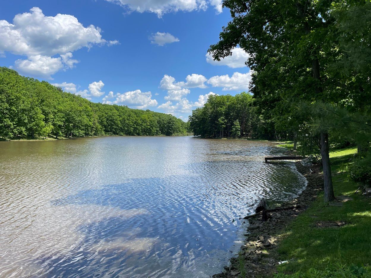 The View from the Island