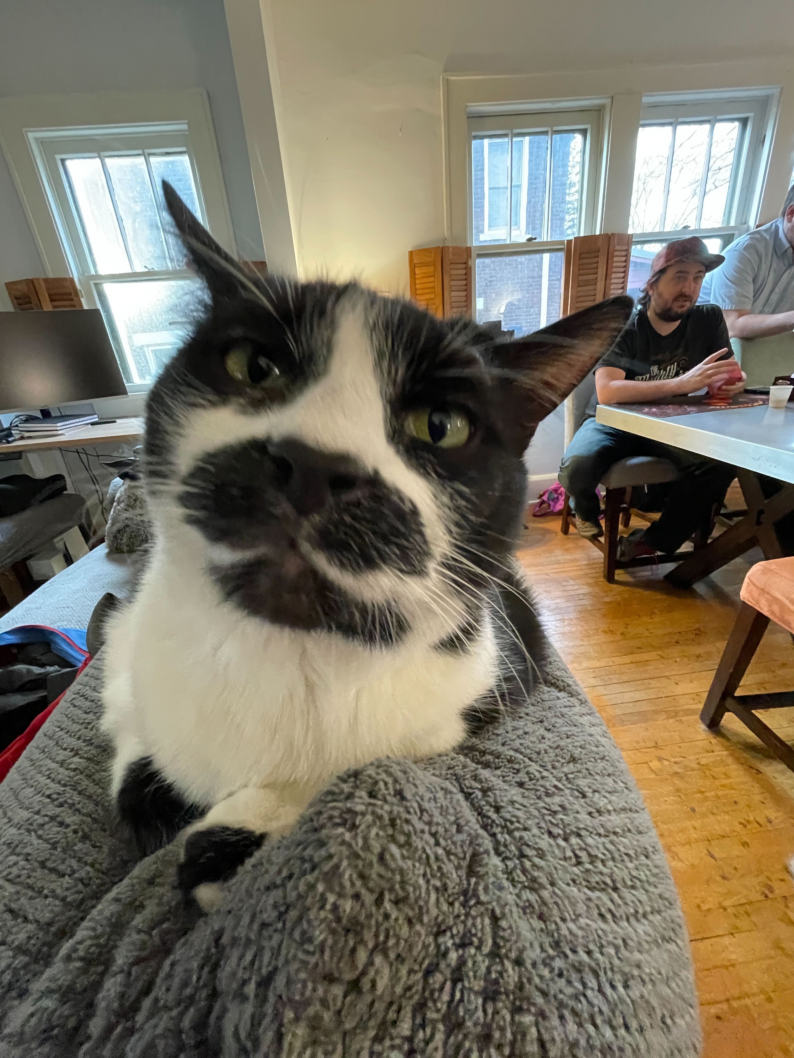 Source of Jimmy's Power