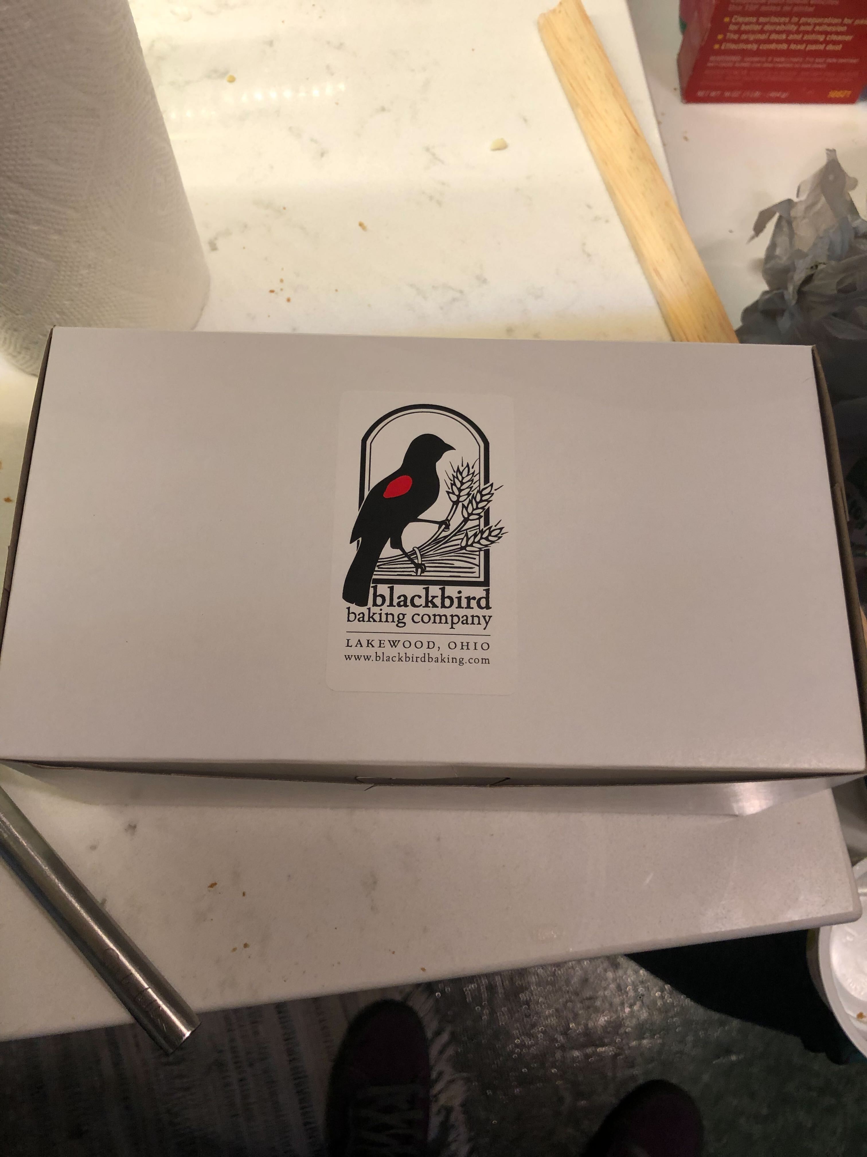 Chad Brought Blackbird